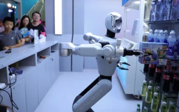 insansı robotlar