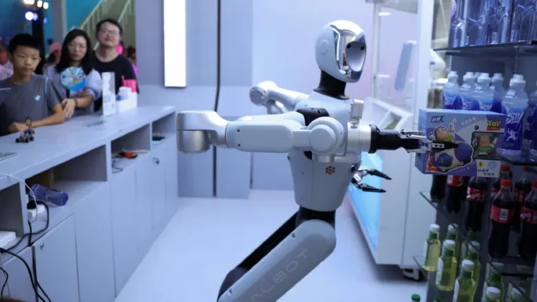 insansı robotlar