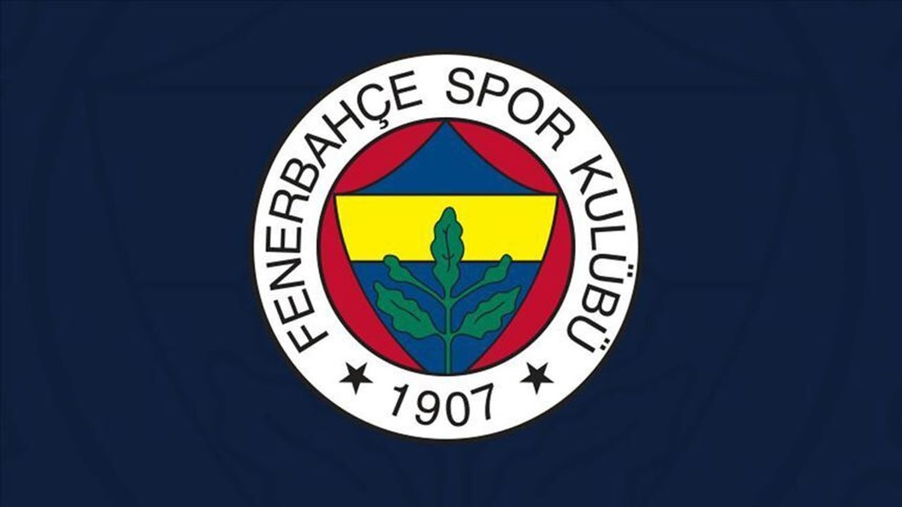 Fenerbahçe 217 Numaralı Loca