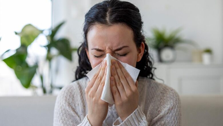 pollen